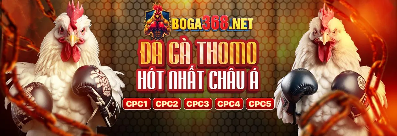 Đá Gà Trực Tuyến tại hi8 trang chủ